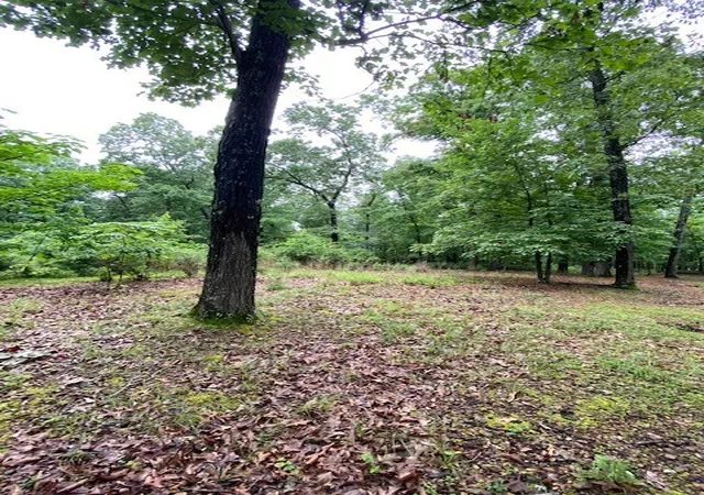 Photo 2 of Land for sale at Lot 5 Lakeview Dr, Bull Shoals, AR 72619 | MLS# 1324986 | Listing updated on 2026-08-03
