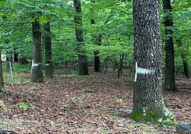 Photo 3 of Land for sale at Lot 5 Lakeview Dr, Bull Shoals, AR 72619 | MLS# 1324986 | Listing updated on 2026-08-03