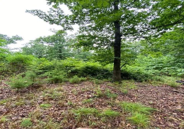 Photo 4 of Land for sale at Lot 5 Lakeview Dr, Bull Shoals, AR 72619 | MLS# 1324986 | Listing updated on 2026-08-03