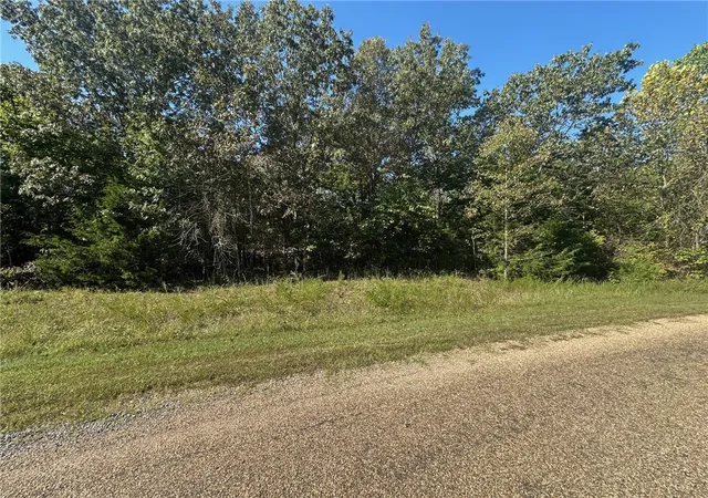 Homes for sale in Mountain Home, AR | Lot 24 Cougar Dr, Mountain Home, AR 72653 | MLS# 1325014