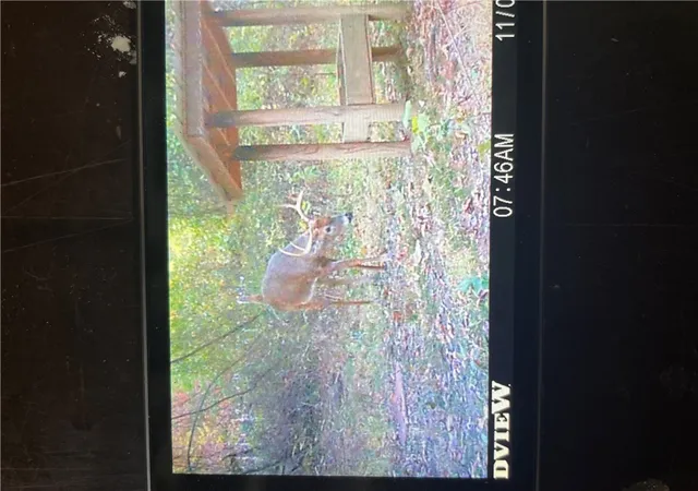 44th image of 13829 French Rd, West Fork, AR 72774 | MLS# 1325118