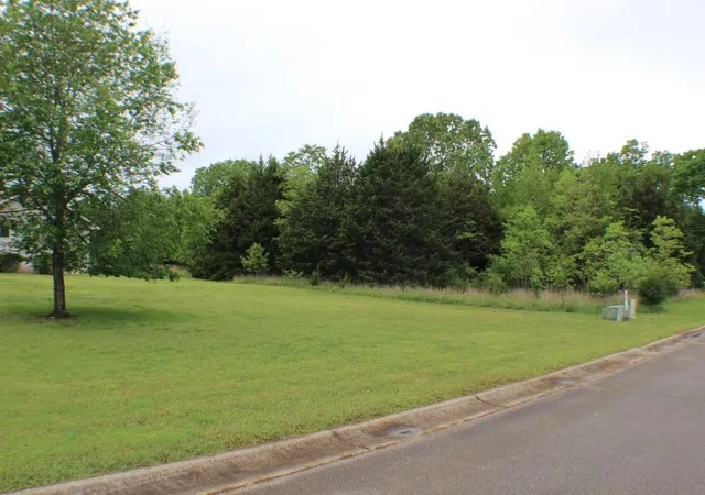 3rd image of Various Lots Springflower, Bull Shoals, AR 72619 | MLS# 1324946