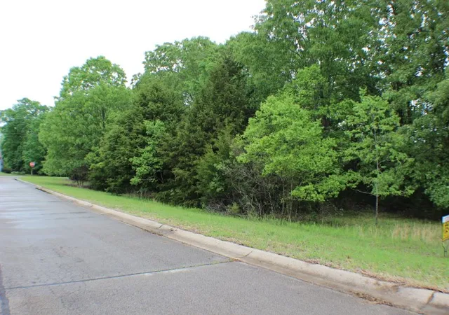 4th image of Various Lots Springflower, Bull Shoals, AR 72619 | MLS# 1324946