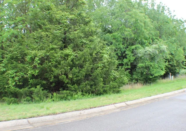 5th image of Various Lots Springflower, Bull Shoals, AR 72619 | MLS# 1324946