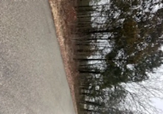 10th image of Hwy 62, Flippin, AR 72634 | MLS# 1324927