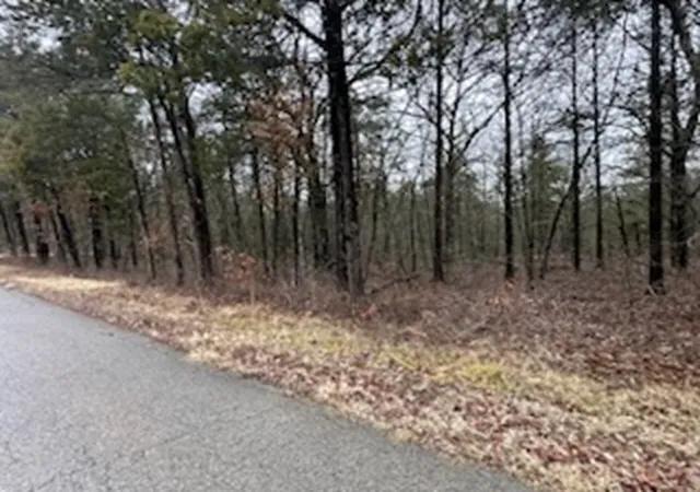 3rd image of Hwy 62, Flippin, AR 72634 | MLS# 1324927