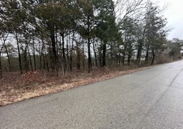4th image of Hwy 62, Flippin, AR 72634 | MLS# 1324927