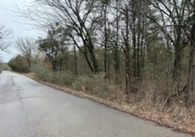 5th image of Hwy 62, Flippin, AR 72634 | MLS# 1324927