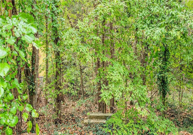 3rd image of Tbd N Main St, Eureka Springs, AR 72632 | MLS# 1325289