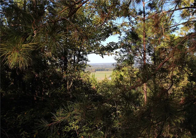 5th image of Tbd Beth Lynn Dr, Mulberry, AR 72947 | MLS# 1325680