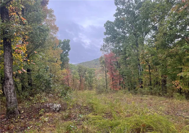 1st image of Tbd Pierson Rd, Prairie Grove, AR 72753 | MLS# 1325777