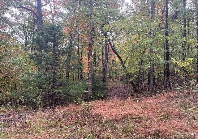2nd image of Tbd Pierson Rd, Prairie Grove, AR 72753 | MLS# 1325777