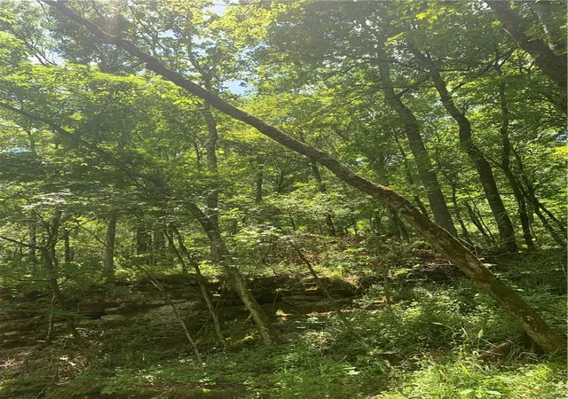 30th image of Tbd Pierson Rd, Prairie Grove, AR 72753 | MLS# 1325777