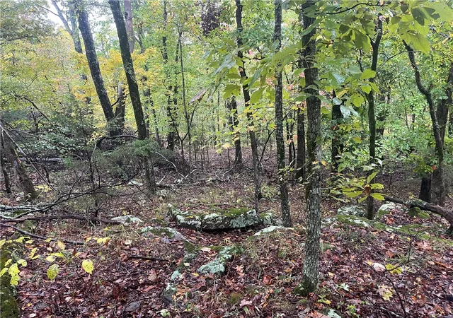 4th image of Tbd Pierson Rd, Prairie Grove, AR 72753 | MLS# 1325777