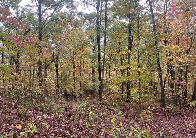 5th image of Tbd Pierson Rd, Prairie Grove, AR 72753 | MLS# 1325777