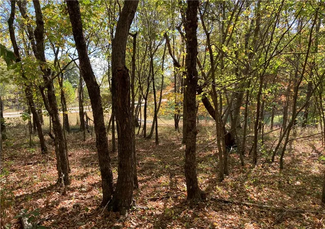 4th image of Fruitwood Rd, Gravette, AR 72736 | MLS# 1326438