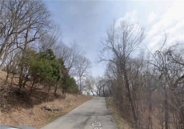 Photo 3 of Land for sale at 296 Holiday Island Dr, Holiday Island, AR 72631 | MLS# 1326642 | Listing updated on 2026-04-02