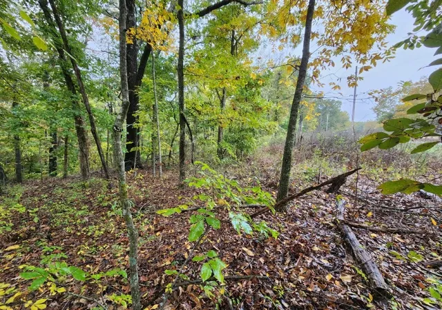 Photo 4 of Land for sale at Lots 14 & 15 Kinross Dr, Bella Vista, AR 72715 | MLS# 1326829 | Listing updated on 2026-05-27