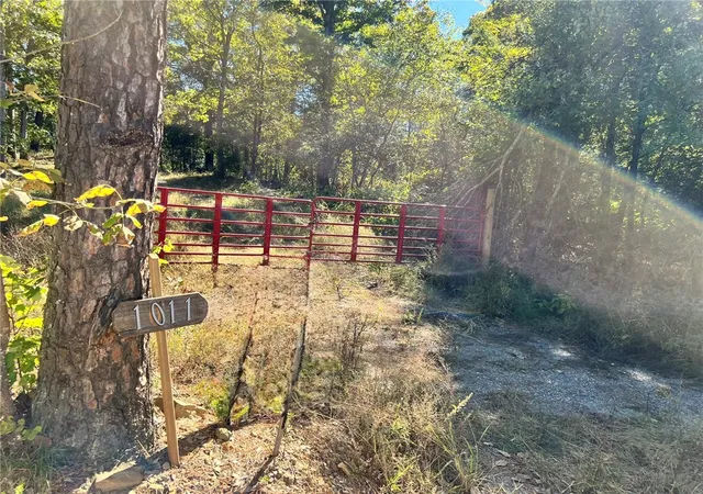 Homes for sale in Atkins, AR | Granny Hollar Rd, Atkins, AR 72823 | MLS# 1326527