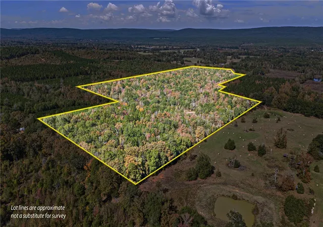 2nd image of 307 307 Hwy, Bluffton, AR 72827 | MLS# 1327374