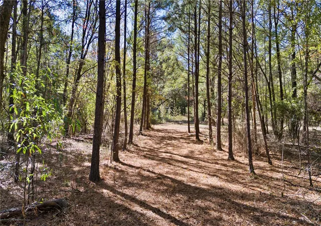 Photo 3 of Land for sale at 307 Highway, Bluffton, AR 72827 | MLS# 1327374 | Listing updated on 2026-07-01