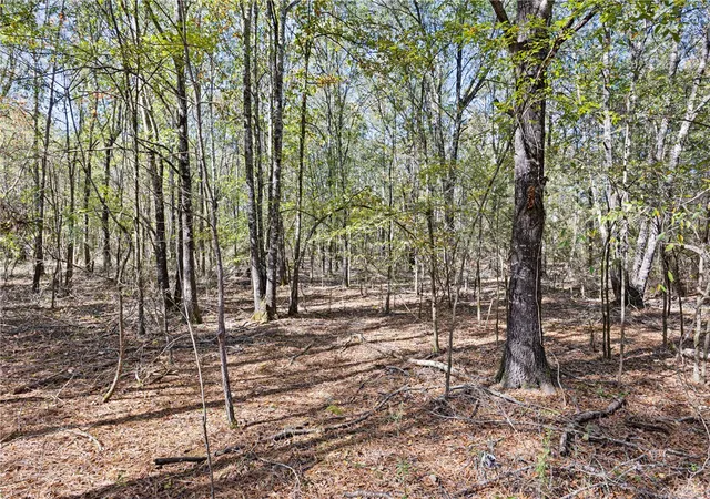 Photo 4 of House for sale at 307 Highway, Bluffton, AR 72827 | MLS# 1327374 | Listing updated on 2026-07-01