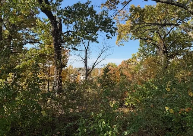 Photo 3 of Sale Pending at Champions Blvd, Rogers, AR 72758 | MLS# 1327677 | Listing updated on 2026-05-13