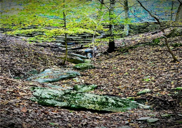 3rd image of Lot # 11 Jackson Ridge, Eureka Springs, AR 72631 | MLS# 1328324