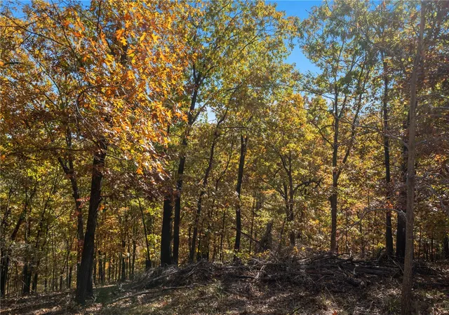 12th image of Tract 17 Cr 1562, Eureka Springs, AR 72632 | MLS# 1327963