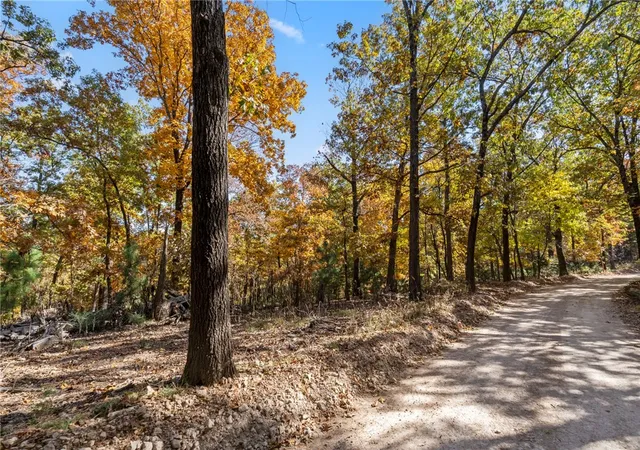 Homes for sale in Eureka Springs, AR | Tract 5 Cr 156, Eureka Springs, AR 72632 | MLS# 1327959