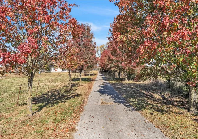 43rd image of 12369 E Sugar Hill Rd, Lincoln, AR 72744 | MLS# 1328556