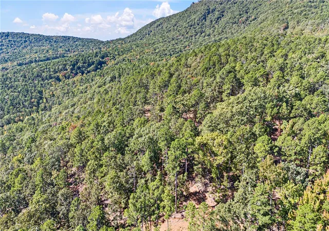 41st image of Ar 155, Dardanelle, AR 72834 | MLS# 1329430