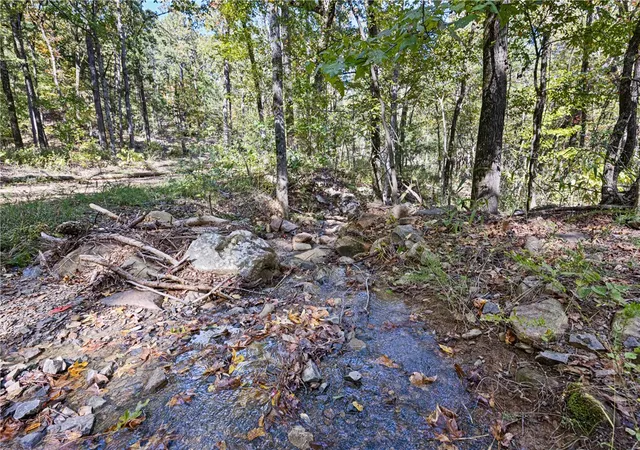 4th image of Ar 155, Dardanelle, AR 72834 | MLS# 1329430