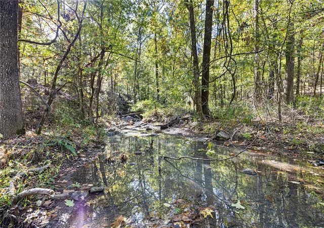 5th image of Ar 155, Dardanelle, AR 72834 | MLS# 1329430