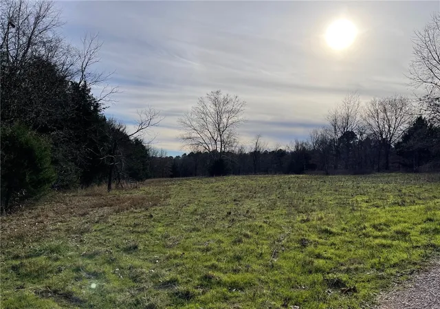 2nd image of Falcon Ln, Berryville, AR 72616 | MLS# 1329813