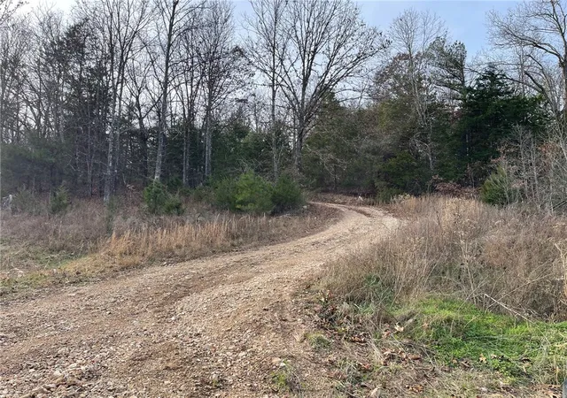 Photo 3 of Land for sale at Falcon Ln, Berryville, AR 72616 | MLS# 1329813 | Listing updated on 2026-06-02
