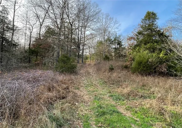 Photo 4 of House for sale at Falcon Ln, Berryville, AR 72616 | MLS# 1329813 | Listing updated on 2026-06-02
