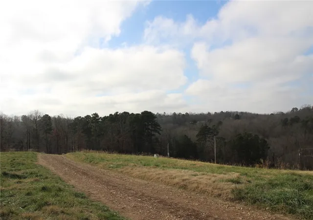 3rd image of 413 Impulse Ln, Yellville, AR 72687 | MLS# 1330099