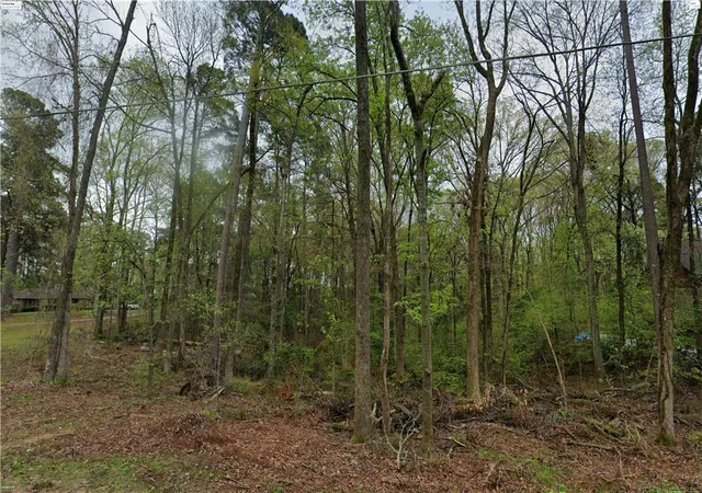Photo 3 of Land for sale at Tbd Roseman Rd, Camden, AR 71701 | MLS# 1330165 | Listing updated on 2026-07-03