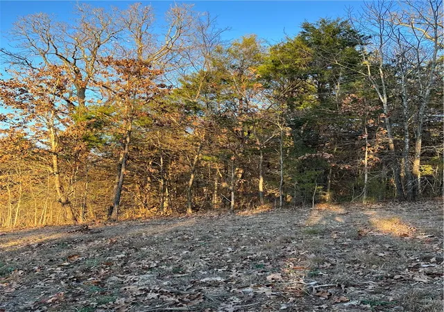 Homes for sale in Berryville, AR | 200 Bella Vista Rd, Berryville, AR 72616 | MLS# 1330171