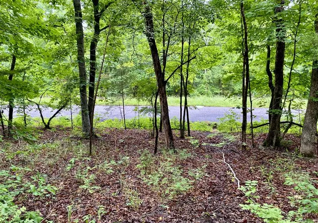 Homes for sale in Holiday Island, AR | Tbd Thunderbird Ln, Holiday Island, AR 72631 | MLS# 1330349
