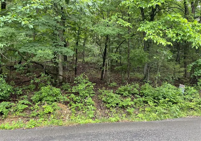 Homes for sale in Holiday Island, AR | Tbd Thunderbird Ln, Holiday Island, AR 72631 | MLS# 1330349