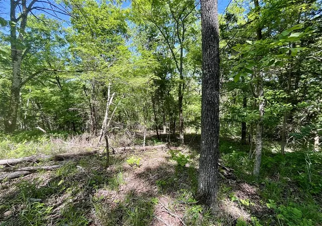 Homes for sale in Holiday Island, AR | Tbd Thunderbird Ln, Holiday Island, AR 72631 | MLS# 1330349