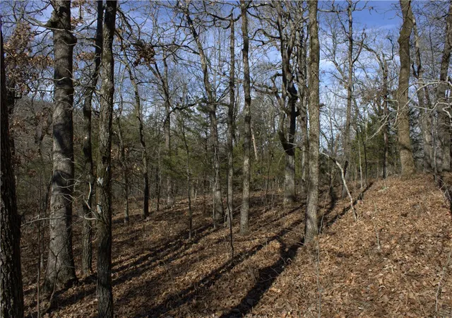 14th image of 15337 Stagecoach Rd, Prairie Grove, AR 72753 | MLS# 1330638