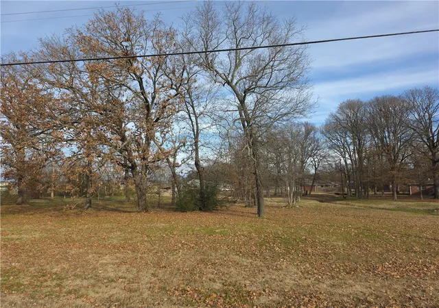 2nd image of Tbd W Main St, Charleston, AR 72933 | MLS# 1331087