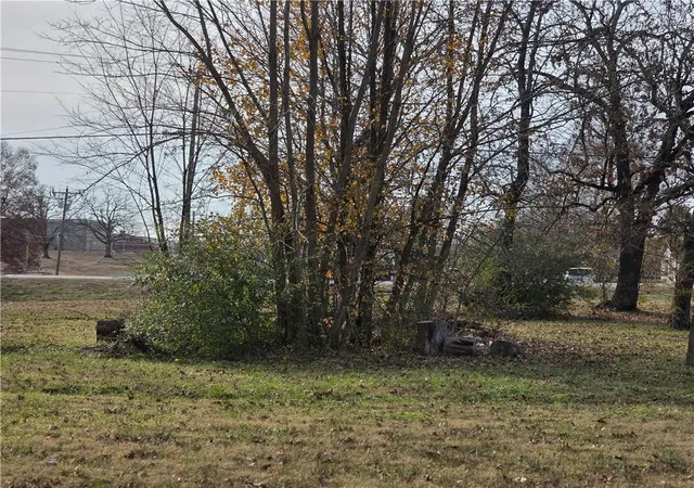 4th image of Tbd W Main St, Charleston, AR 72933 | MLS# 1331087