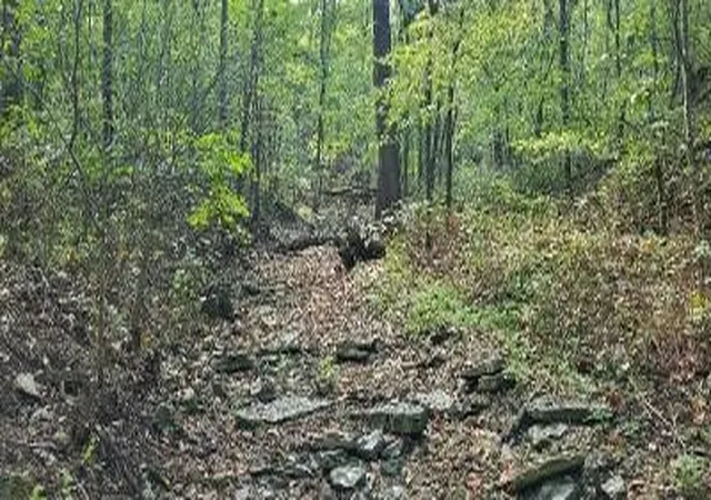 Homes for sale in Eureka Springs, AR | Tbd Saint Simmons Ln, Eureka Springs, AR 72632 | MLS# 1331105