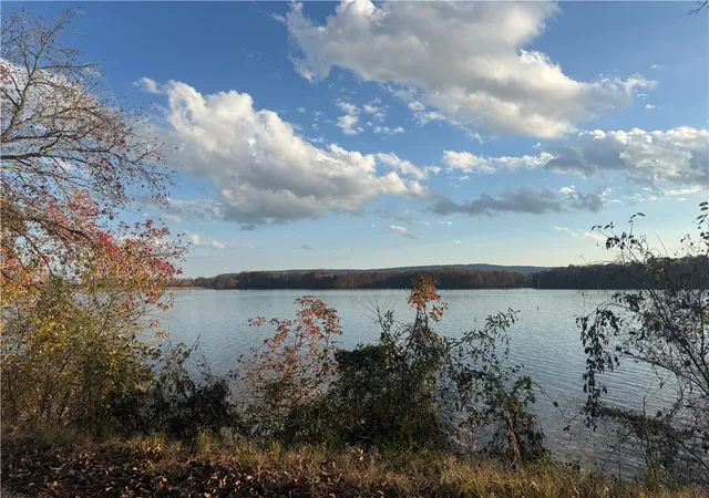 Photo 3 of Land for sale at (Undisclosed), Atkins, AR 72823 | MLS# 1331169 | Listing updated on 2026-06-05