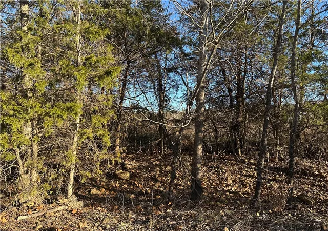 Homes for sale in Mountain Home, AR | 1739 Cr 54, Mountain Home, AR 72653 | MLS# 1331217