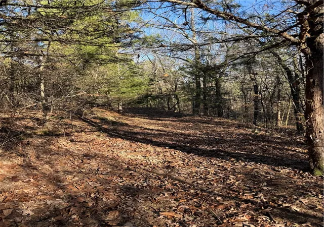 Homes for sale in Dardanelle, AR | Nebo Acres Rd, Dardanelle, AR 72834 | MLS# 1331282